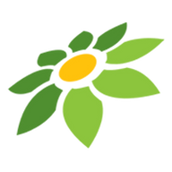 KATEGORI GRUP TOKOPEDIA